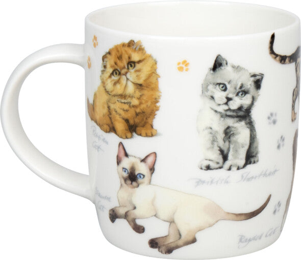 Könitz Porzellan Könitz Becher Natures Diversity-Katzen – 400 ml, Ø 8,7 cm, H 9,2 cm, Knochenporzellan, Mehrfarbig