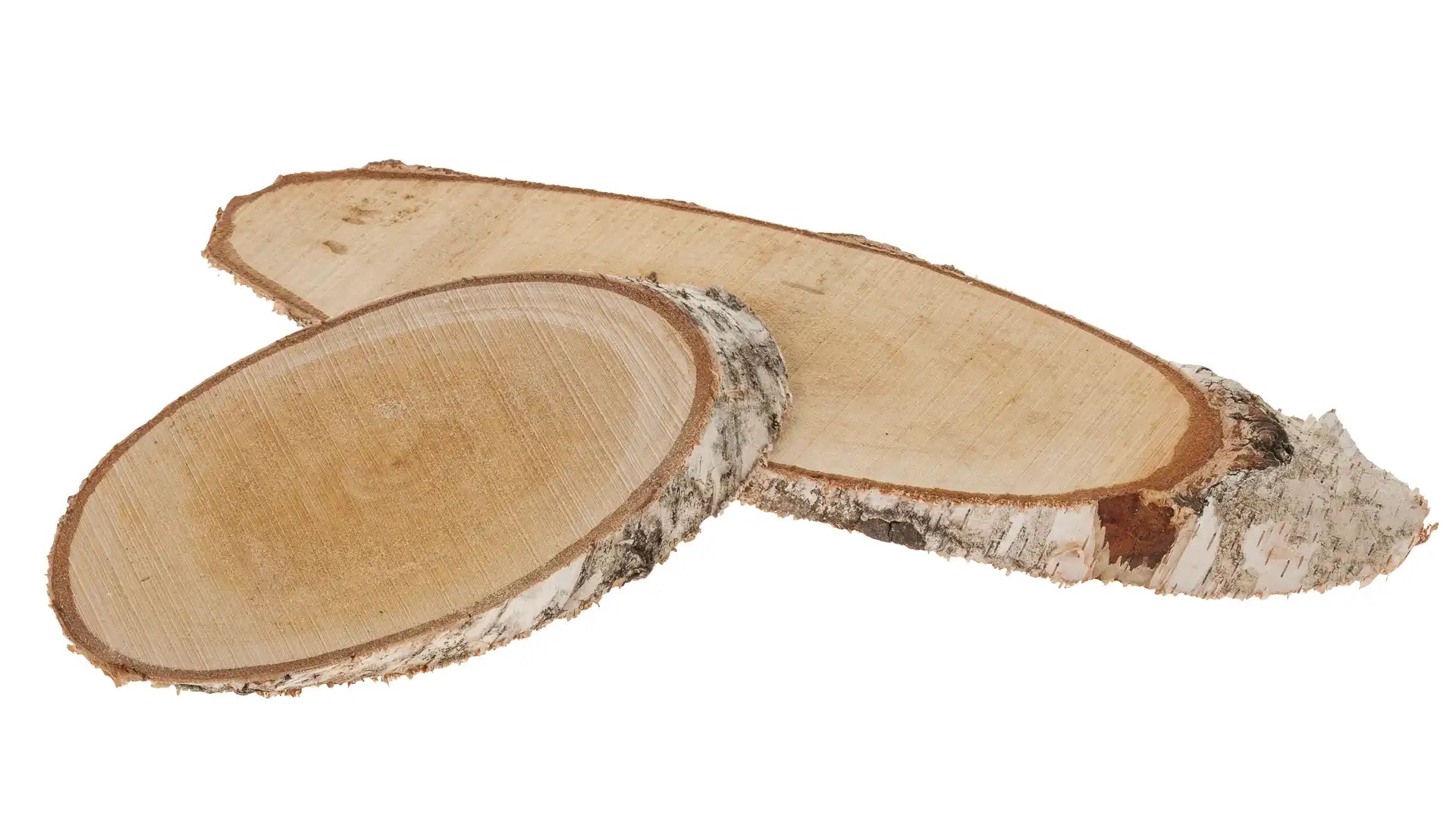 Opiflor Holzscheiben, Birke, Braun, 28 × 2 cm, 10 Stk., oval