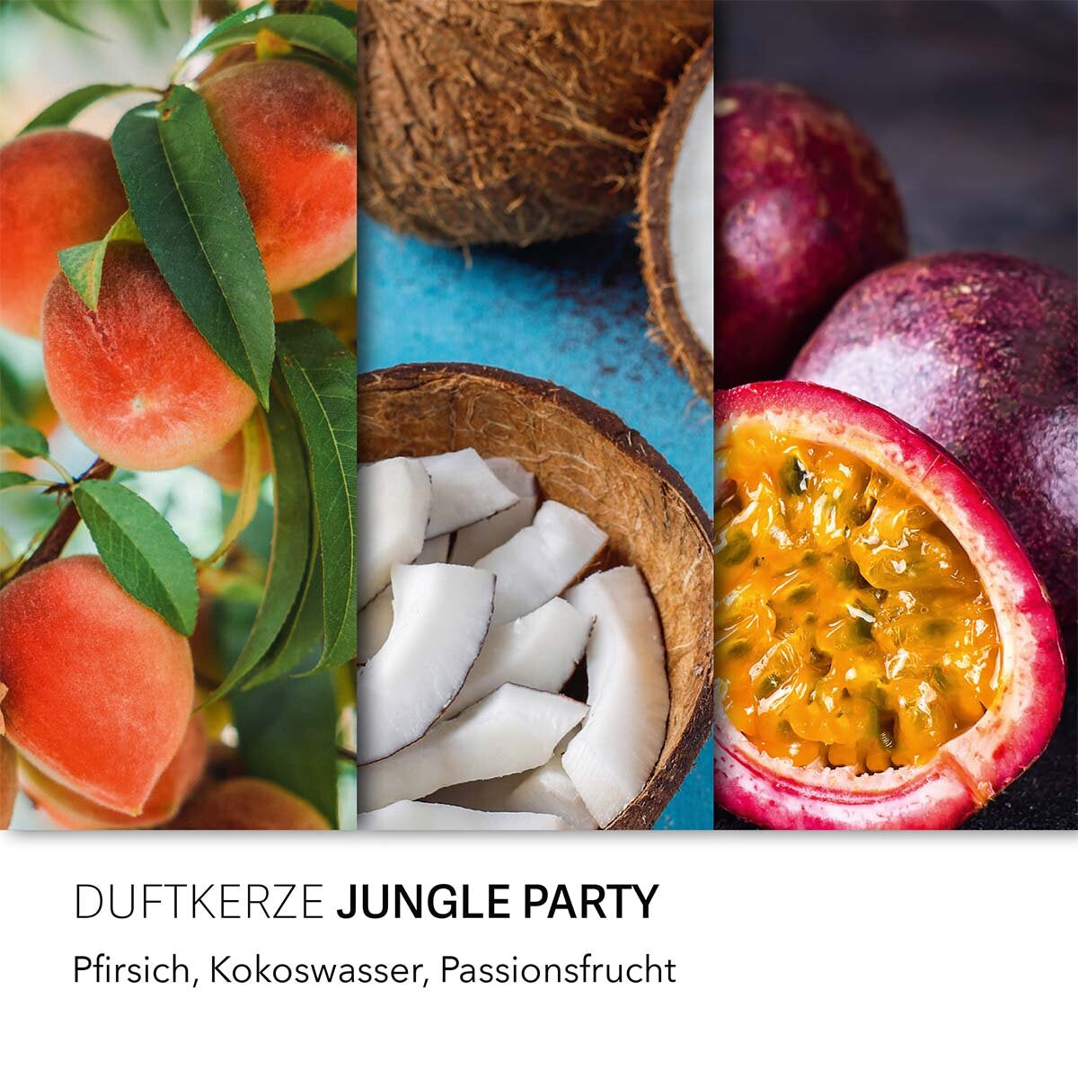 Balthasar Duftkerze – Jungle Party – Ø 6 × 9 cm – 12–20 h