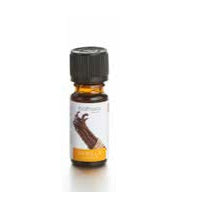 Balthasar Vanille – Duftöl, 10 ml