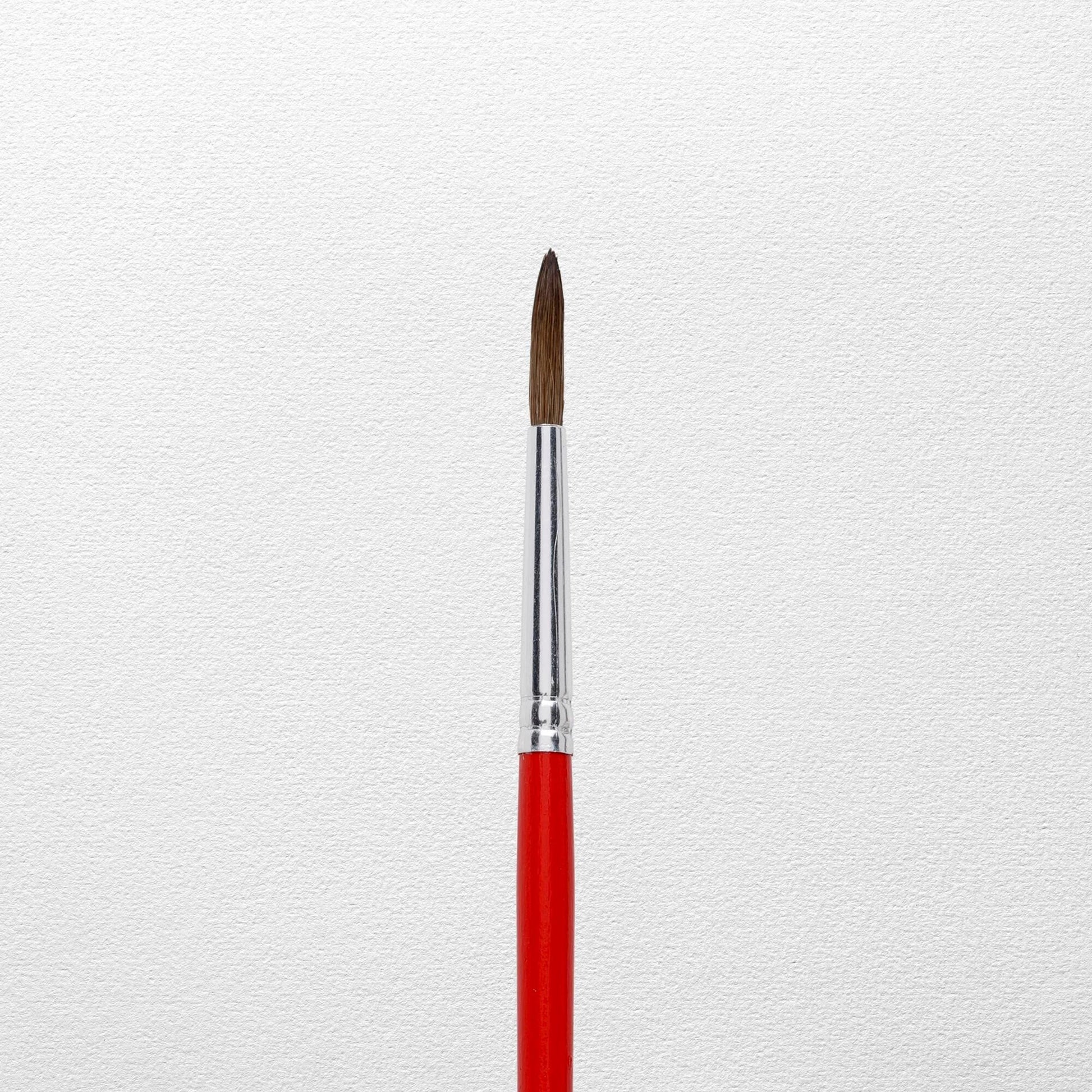 Talens Aquarellpinsel – Rot, 12er-Pack, Grösse 6