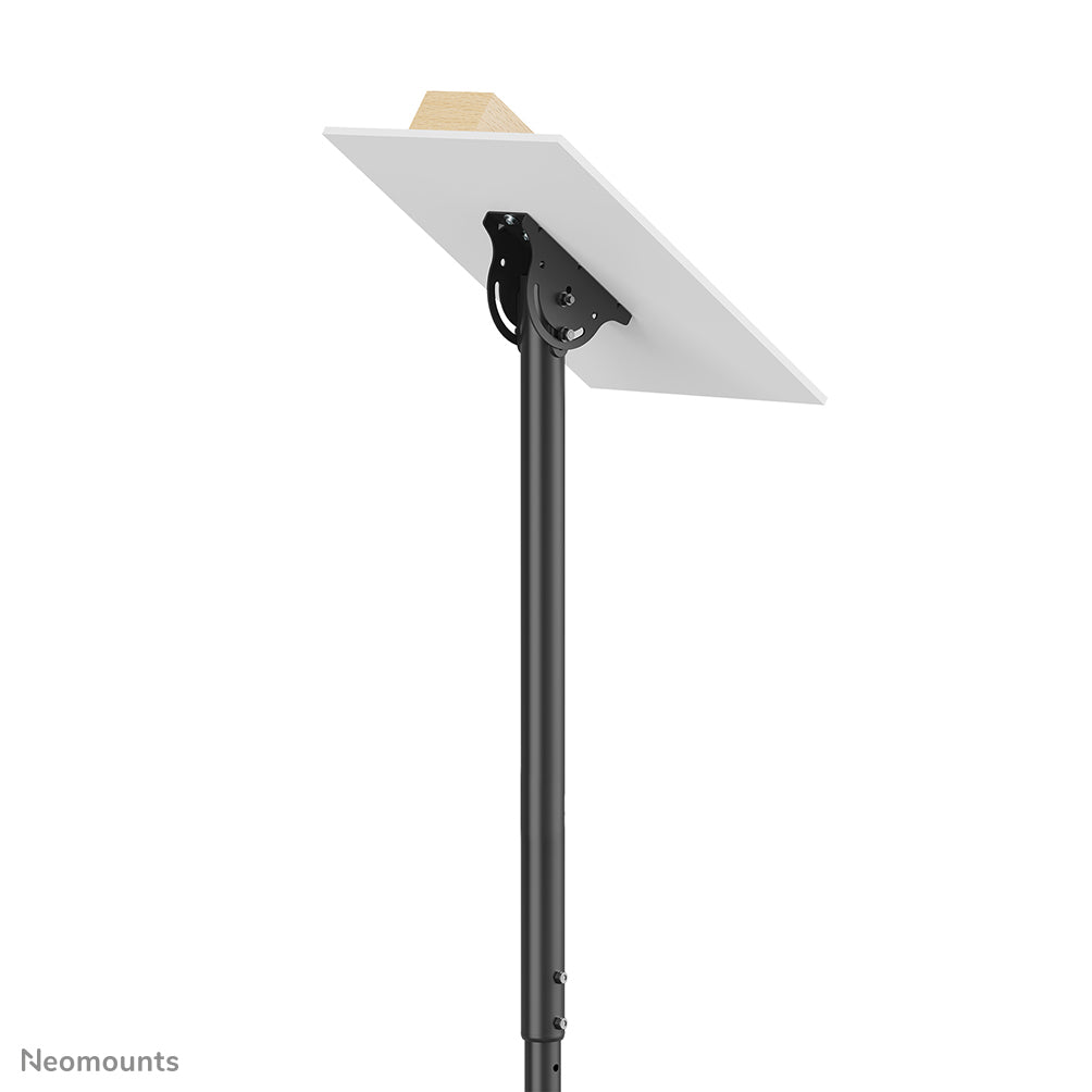 Neomounts Monitor-/TV-Deckenhalterung – CL35-340BL12, 23–42", VESA 100×100, 200×200, H 106–156 cm