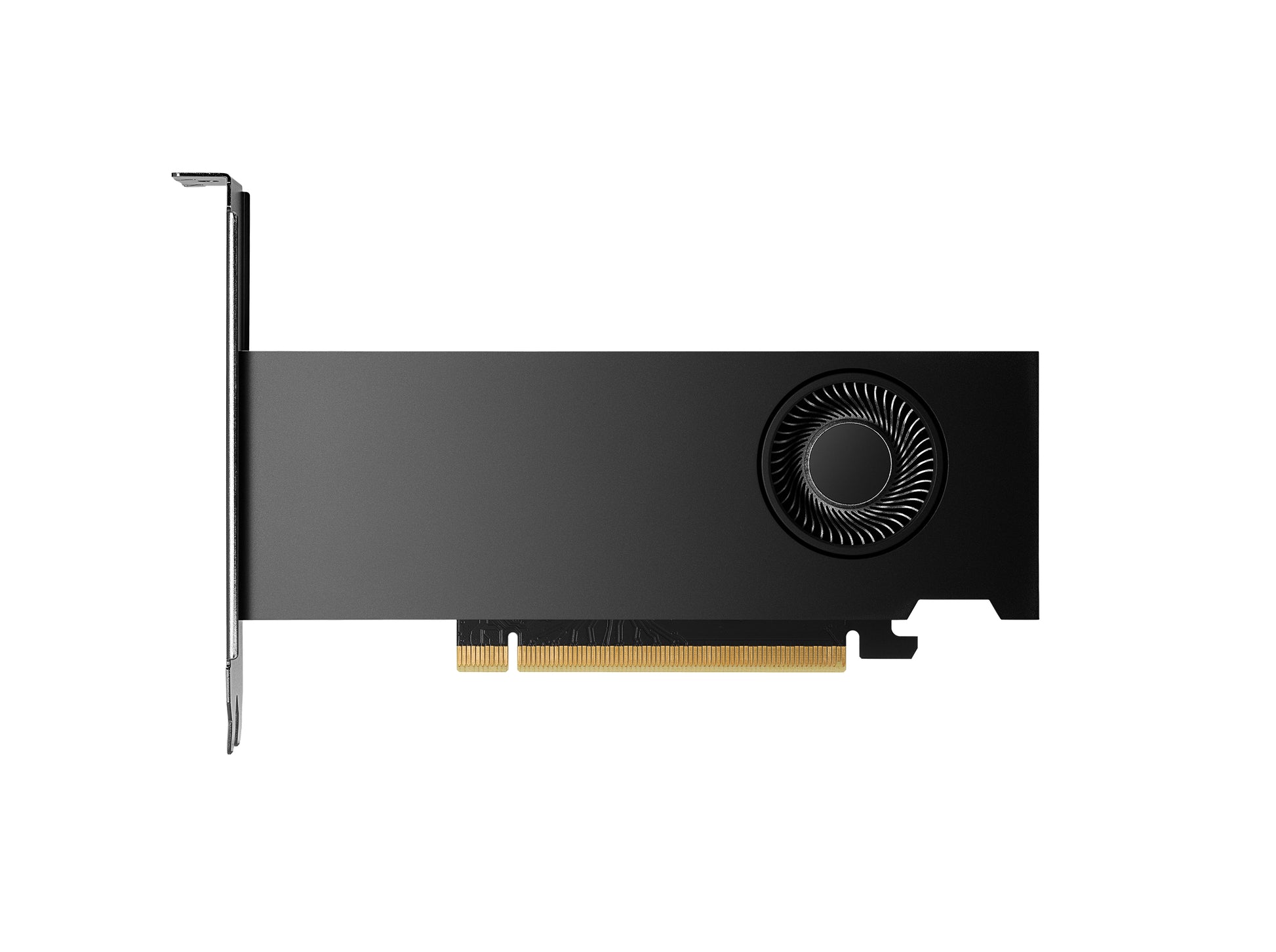PNY RTX 2000 Ada – PCIe Grafikkarte – 16 GB GDDR6, 4×mDP, PCIe x8 4.0, 70 W