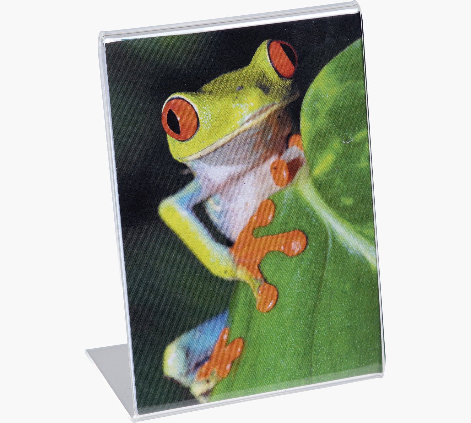 Exacompta Tischaufsteller – für A6 – transparent – Acryl – 105×154×55 mm – 1 Stk.