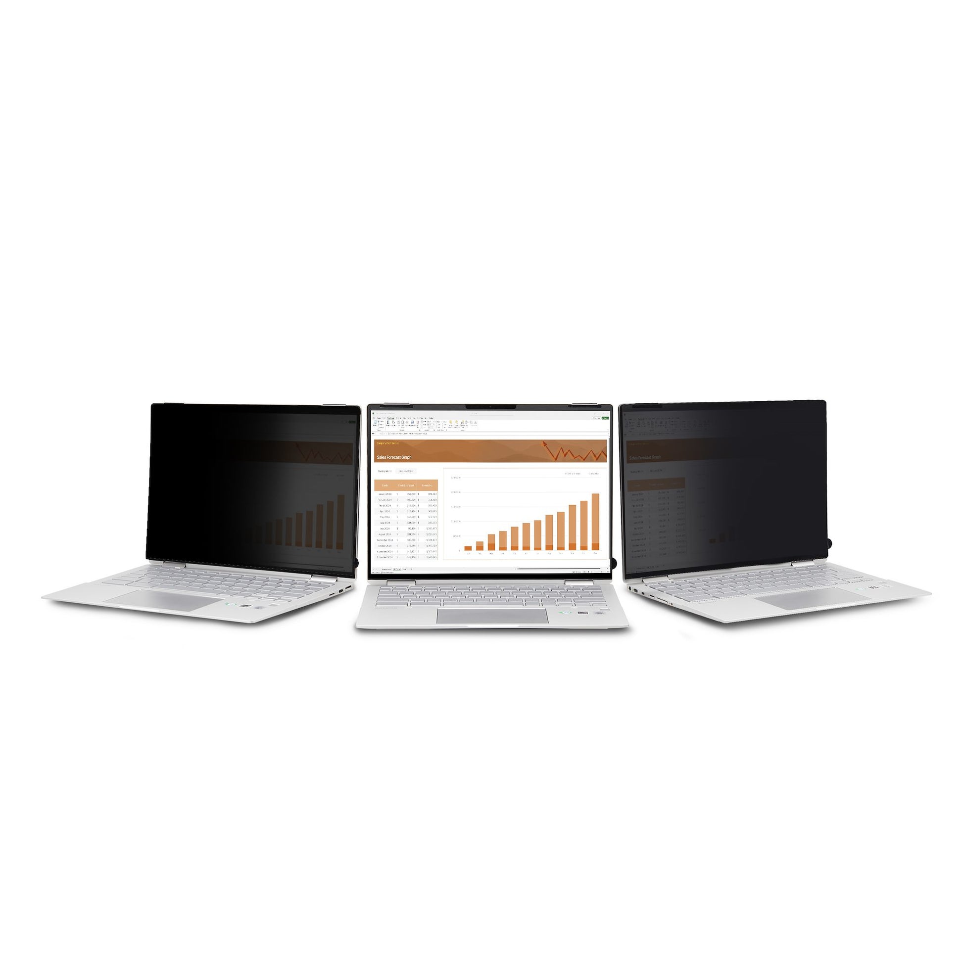 StarTech.com Displayschutz für 14" Laptop