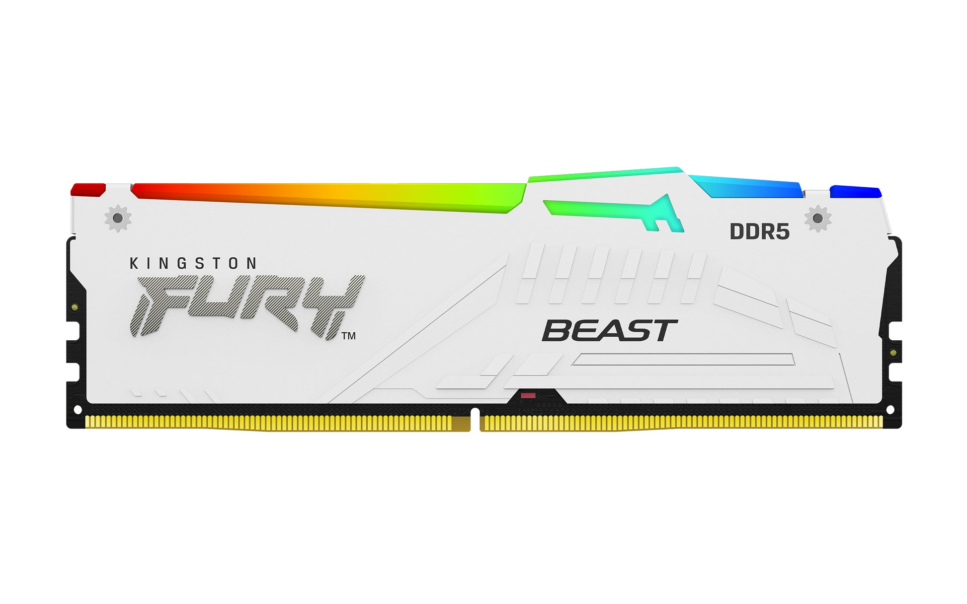 Kingston Technology Kingston FURY Beast – DDR5 RAM 16 GB 6000 MT/s CL30, 288-Pin DIMM, ECC, Weiss, RGB, EXPO