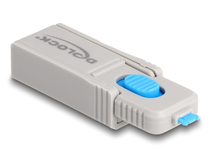 DeLOCK USB-Port-Blocker-Set – USB-C (Buchse) – Kunststoff, Schlüsselanhänger – Blau/Grau – für USB-C