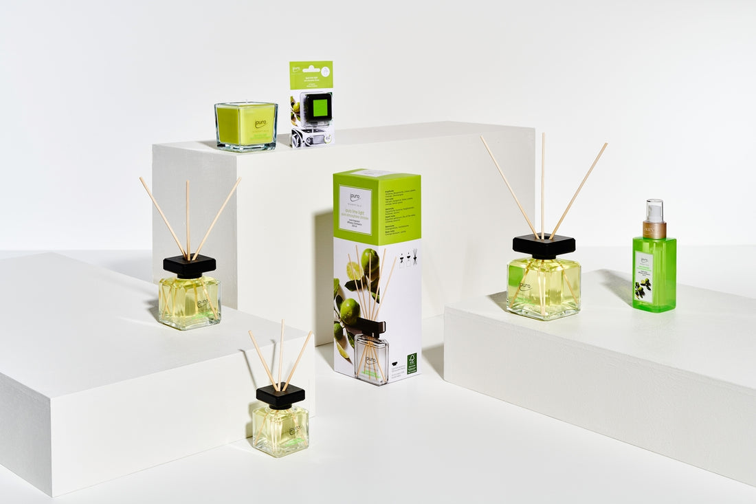ipuro Geschenkset Lime Light – Duftstäbchen, 100 ml