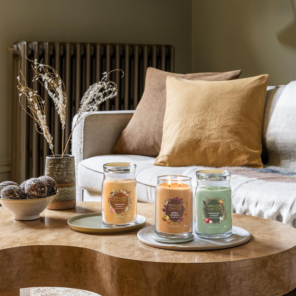 Yankee Candle Duftkerze – Jasmin – Ø 8 × 7,1 cm – ca. 20–30 h
