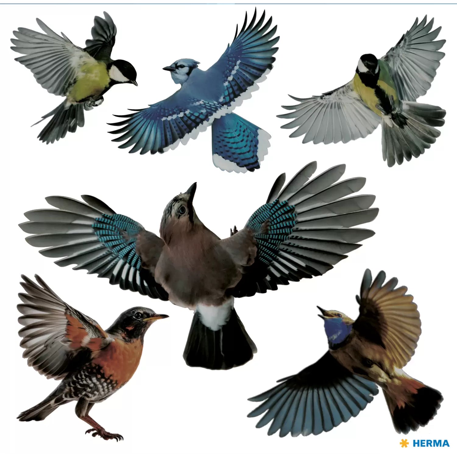 HERMA Warnschild – permanent, Vögel – 300 mm Höhe – mehrfarbig