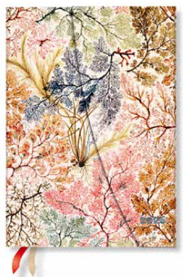 Paperblanks Anemone – Wochenagenda 2026, 1 Woche/2 Seiten, 13 × 18 cm, Hardcover