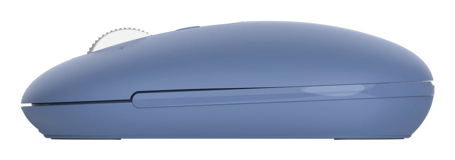 Trust Seron Slim Multi – Maus – Kabellos (Bluetooth/2,4 GHz), 3200 DPI, beidhändig, Blau