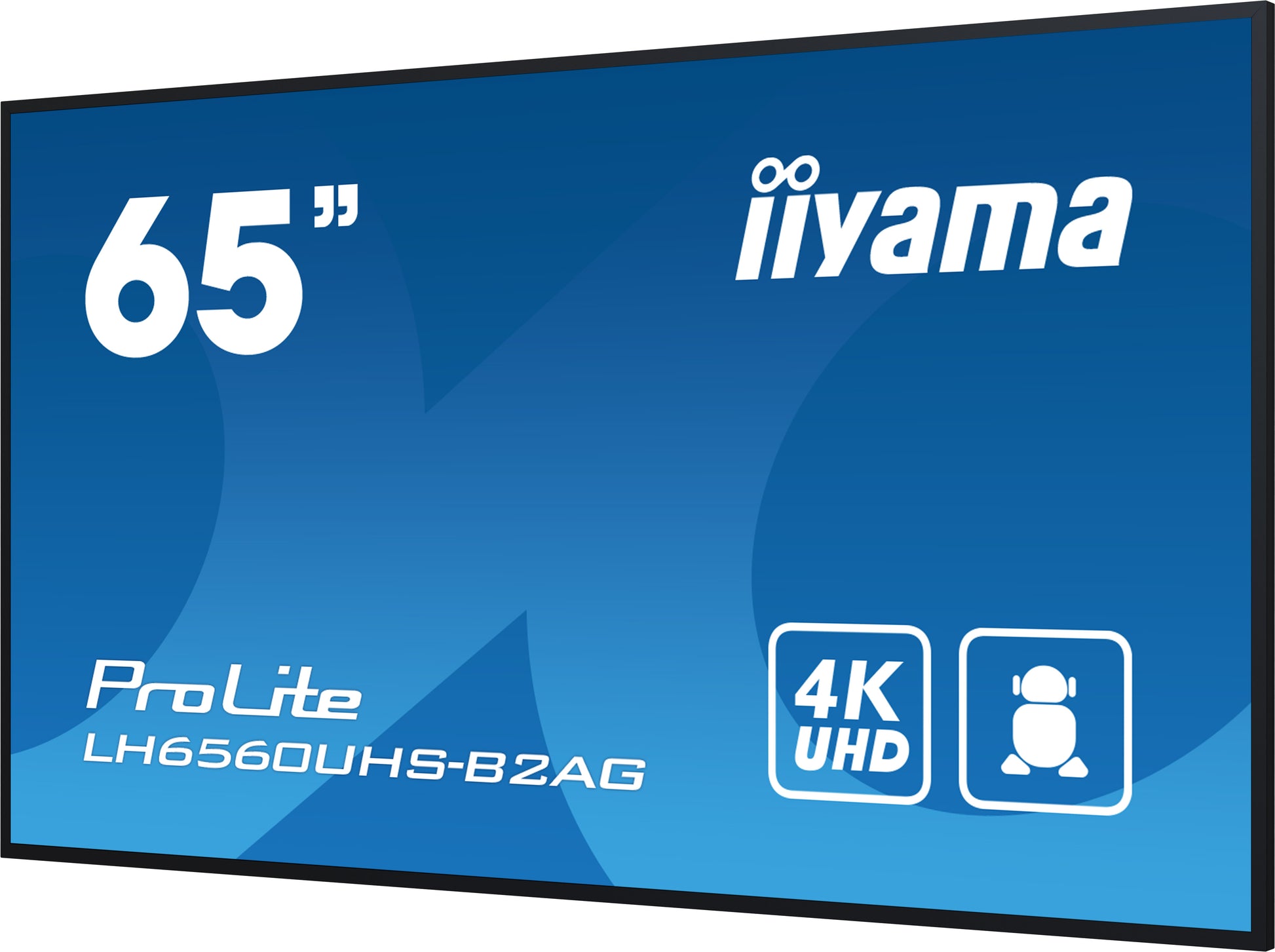 iiyama ProLite – Signage-Display, 64,5", Ultra HD 4K, 500 cd/m², 24/7