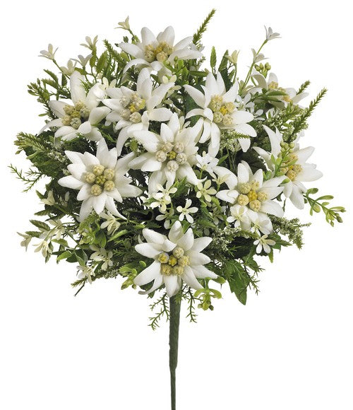 Botanic-Haus Künstliche Edelweiss-Blütenpflanze – 29 cm, Kunststoff, Weiss, 6er-Pack