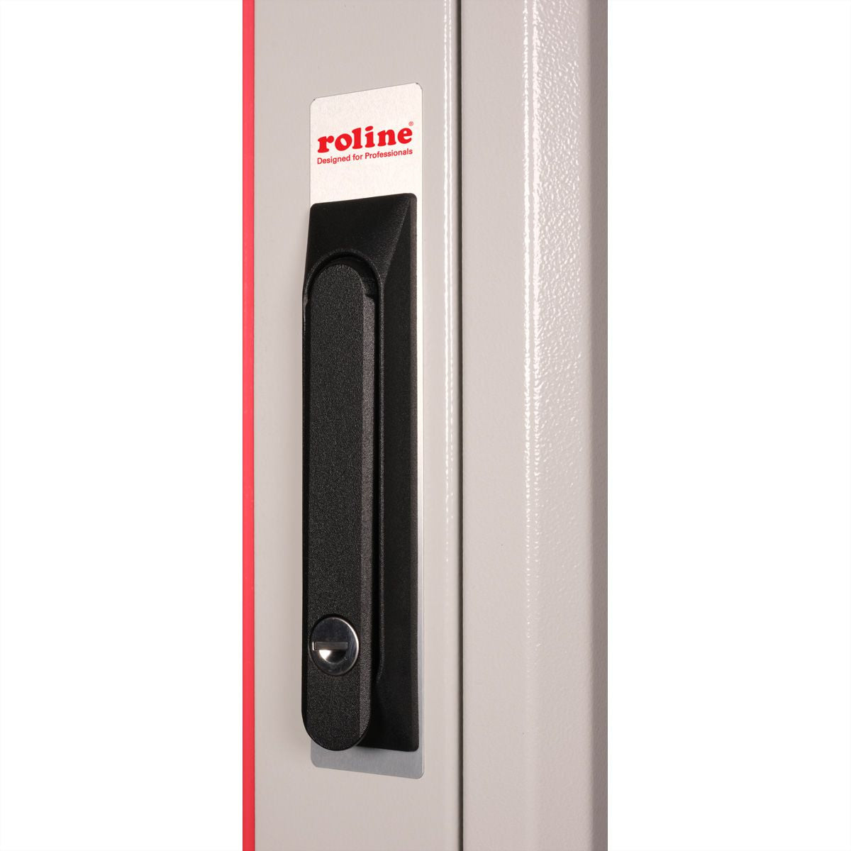 ROLINE Pro – 19" Netzwerkschrank 42U, IP20, abschliessbar, 600 × 800 × 2053 mm, lichtgrau, Stahl