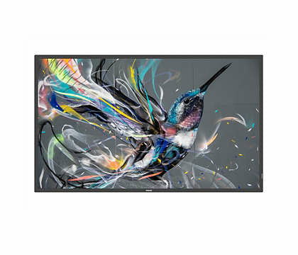 Philips QE-Line 65BDL3650QE/00 – Signage-Display, 65", Ultra HD 4K, 300 cd/m², 18/7, Android