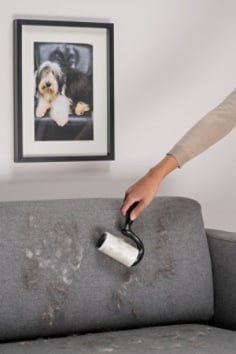 Scotch-Brite Fusselroller Pet Extra – 48 Blatt, Schwarz, Kunststoff, 14,0 × 6,0 × 20,5 cm