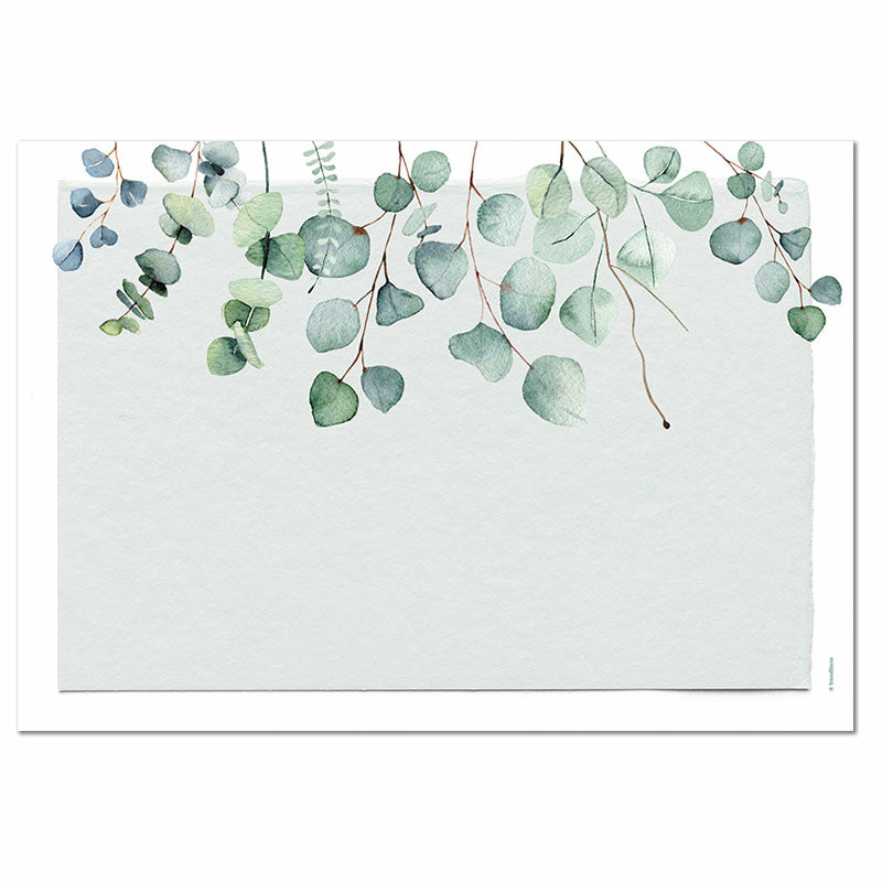 Trendform Tischset Eukalyptus, Papier, 29,7 × 42 cm – FSC – 12 Stk.