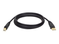 Tripp Lite USB-A auf USB-B Kabel – USB 2.0 (480 Mbit/s) – 1,8 m – Goldstecker, Geschirmt – Schwarz