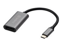 Sandberg USB-C auf DisplayPort Adapter