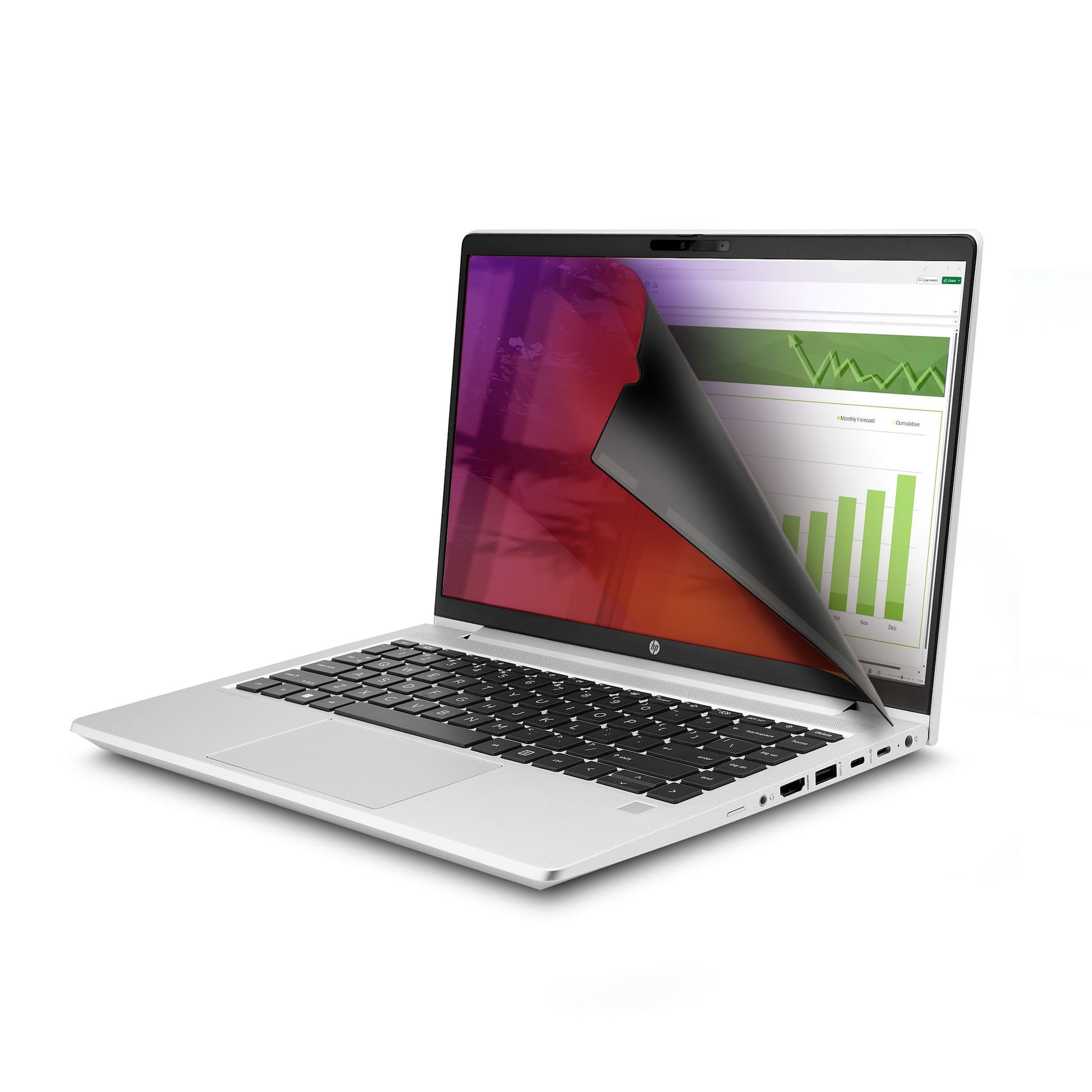 StarTech.com Displayschutz für 15,6" Laptop – Gold
