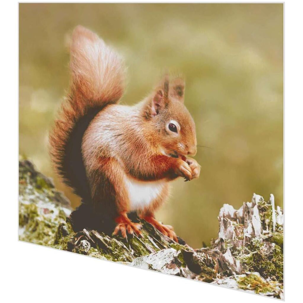 Paper + Design Servietten Eichhörnchen – mehrfarbig – 33 × 33 cm, 3-lagig – 20 Stück