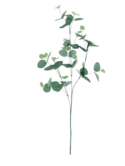 Dekomat AG Dekomat Trockenblumen – Grün – 76 cm – 1er-Pack