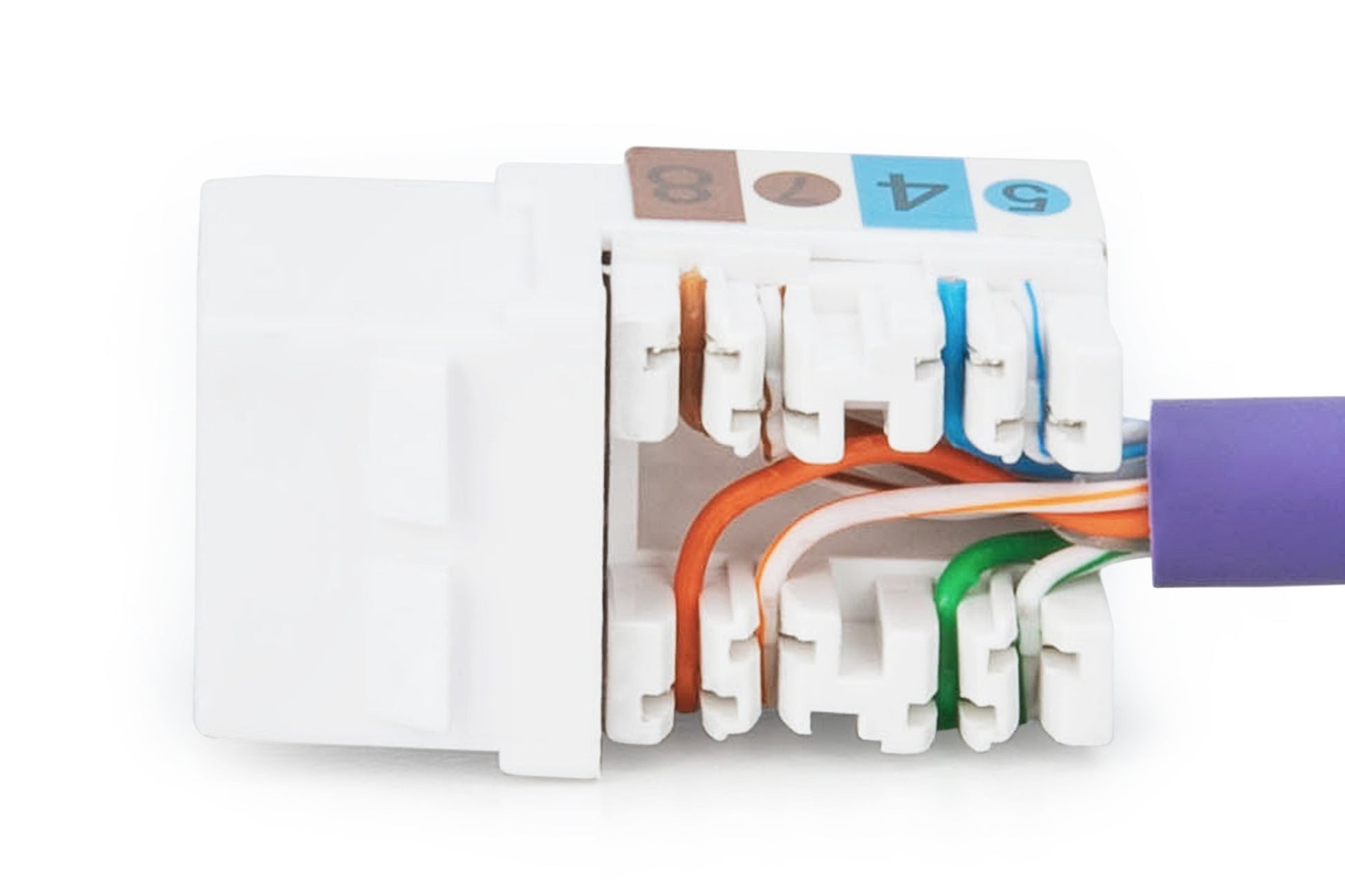 Digitus Keystone-Modul CAT 6 – ungeschirmt, RJ-45, Schwarz, 35×20×25 mm