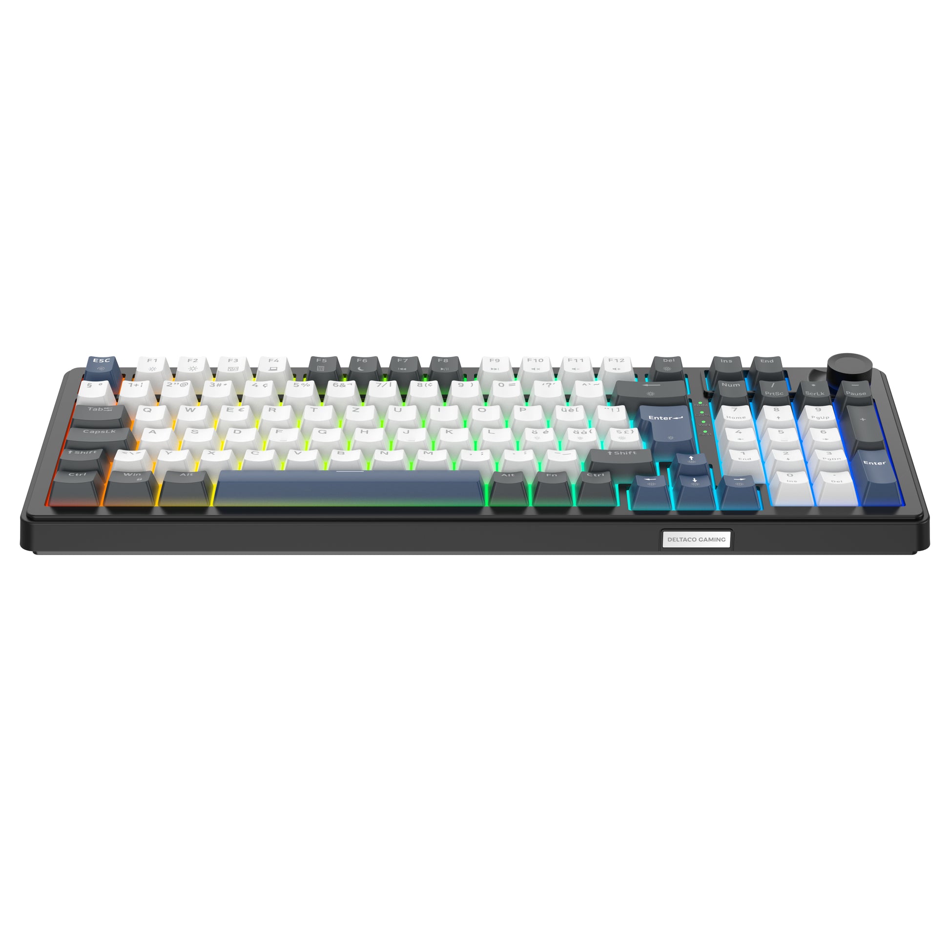 Deltaco Gaming GAM-206-CH – Gaming-Tastatur 96% – Mechanisch, Hot-Swap – Kabelgebunden, USB – RGB – QWERTZ (CH)
