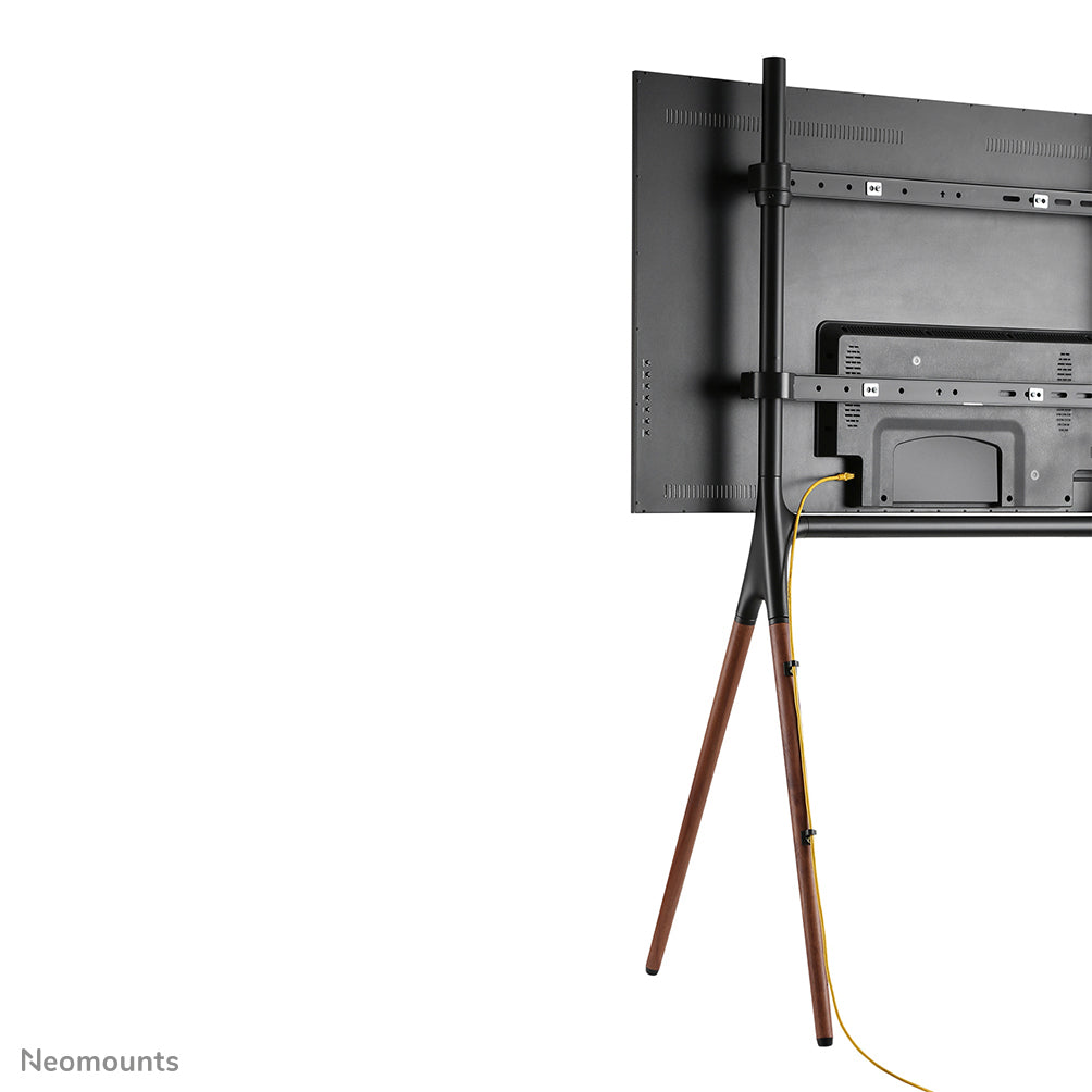 Neomounts Höhenverstellbarer Displayständer für 37–70", VESA 200×200–600×400, bis 40 kg, schwarz