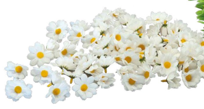 Dekomat AG Dekomat Margaritten – Ø 5 cm – Polyester, mehrfarbig – 72-teilig