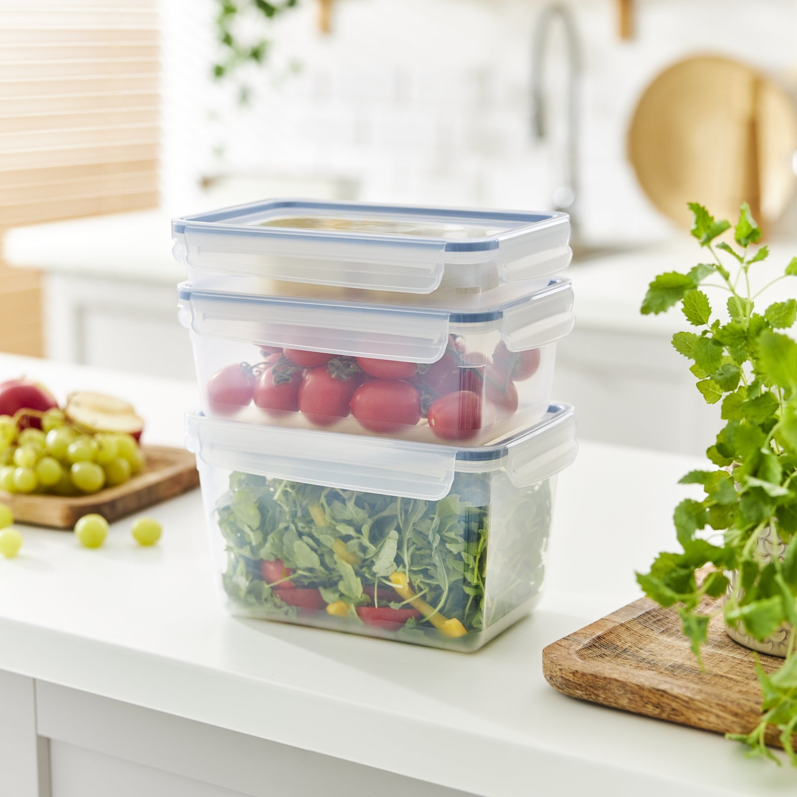Rotho Kühlschrankdose Clic & Lock – 3 l – rechteckig – 23,9 × 13,6 × 16 cm – Kunststoff – transparent