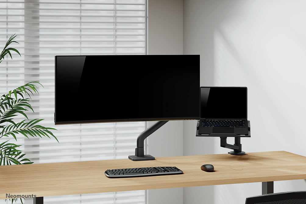 Neomounts Laptop-Arm (Klemme/Durchführung) – für Notebooks bis 17,3" – VESA 100×100, 5 kg – Schwarz