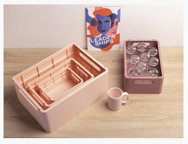 Exacompta Skandi Aufbewahrungsbox A4+ – klappbar, stapelbar, 375 × 40 × 275 mm, hellrosa, Kunststoff