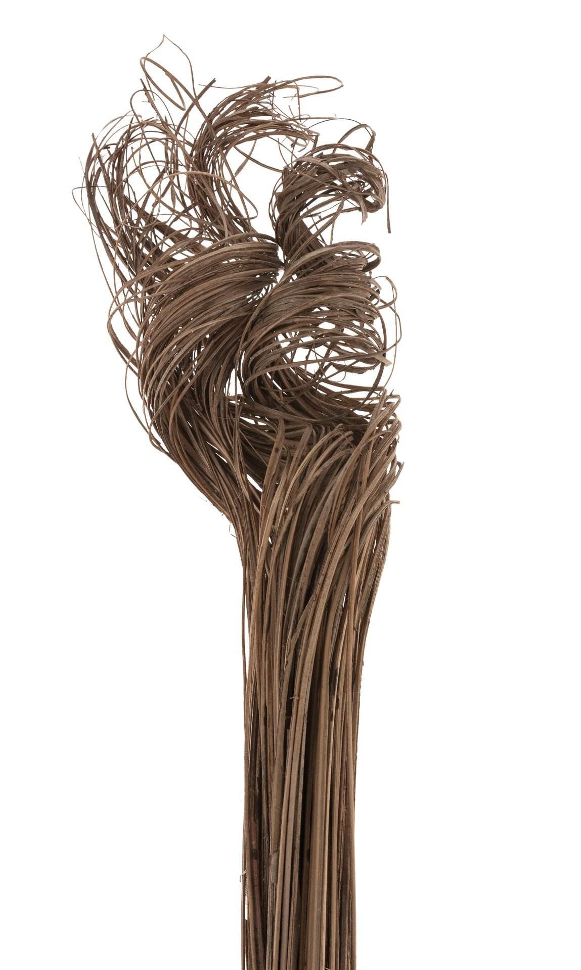Opiflor Kunstpflanze – 70 cm – Rattan, natur