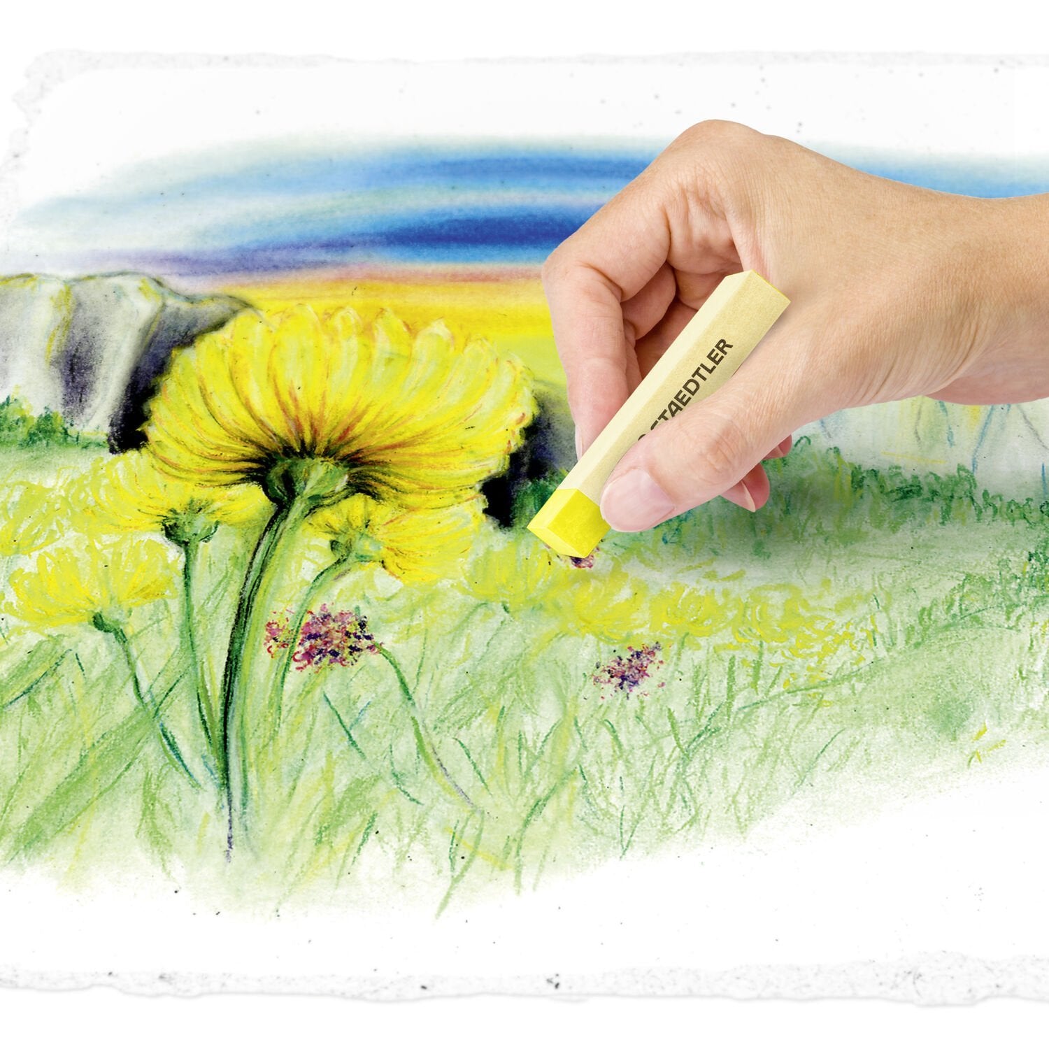 Staedtler Design Journey – Soft Pastelle, ca. Ø 10 mm, 36er Kartonetui