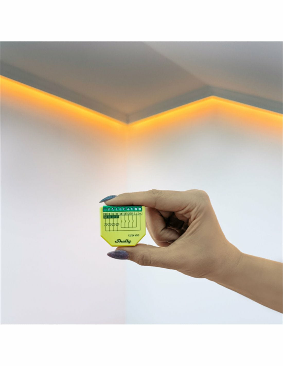 Shelly Dimmaktor Plus RGBW PM – Zubehör – Dimmaktor (RGBW), WLAN – für Amazon Alexa, Google Assistant