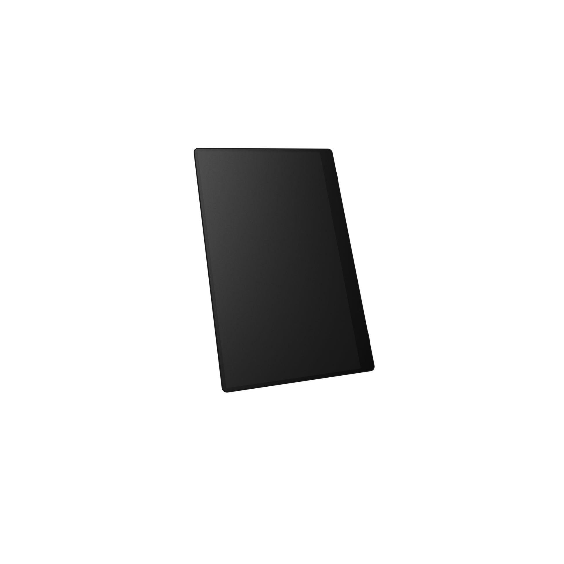 Ricoh 150BW – Tragbarer Monitor, 1080p Display