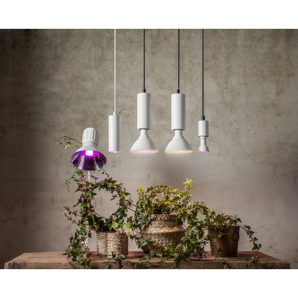 Star Trading Leuchtmittel 357-38 GU10 – 42 lm, 3,5 W, 110° – Weiss