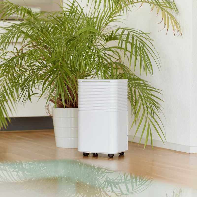 Ecofort Luftentfeuchter ecoQ DryAir 12L – 12 L/24 h, bis 30 m², Tank 2 L, Hygrostat