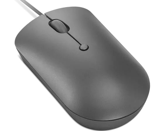 Lenovo 540 – Maus – Kabelgebunden (USB-C), beidhändig, Grau