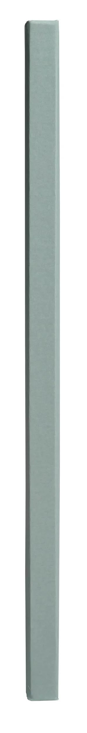 Exacompta Gästebuch Ellipse – 100 Seiten – 220 × 270 mm – Hardcover, gold, grün