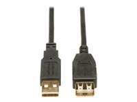 Tripp Lite USB-A Verlängerungskabel (Stecker auf Buchse) – USB 2.0 (480 Mbit/s) – 4,87 m – Goldkontakte
