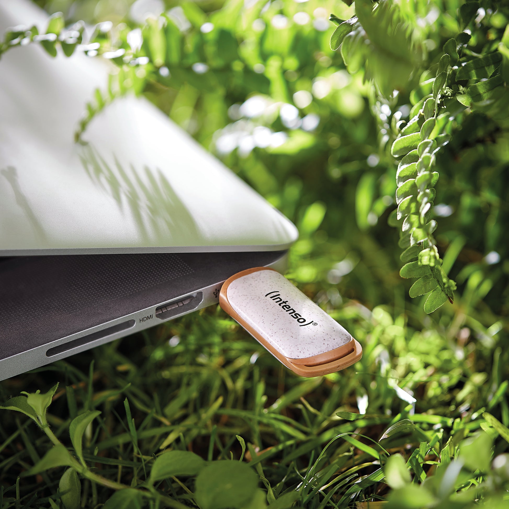 Intenso Green Line 3540480 USB-Stick 32 GB – USB-A USB 3.2 Gen 1, 70 MB/s Lesen, mit Kappe, Beige