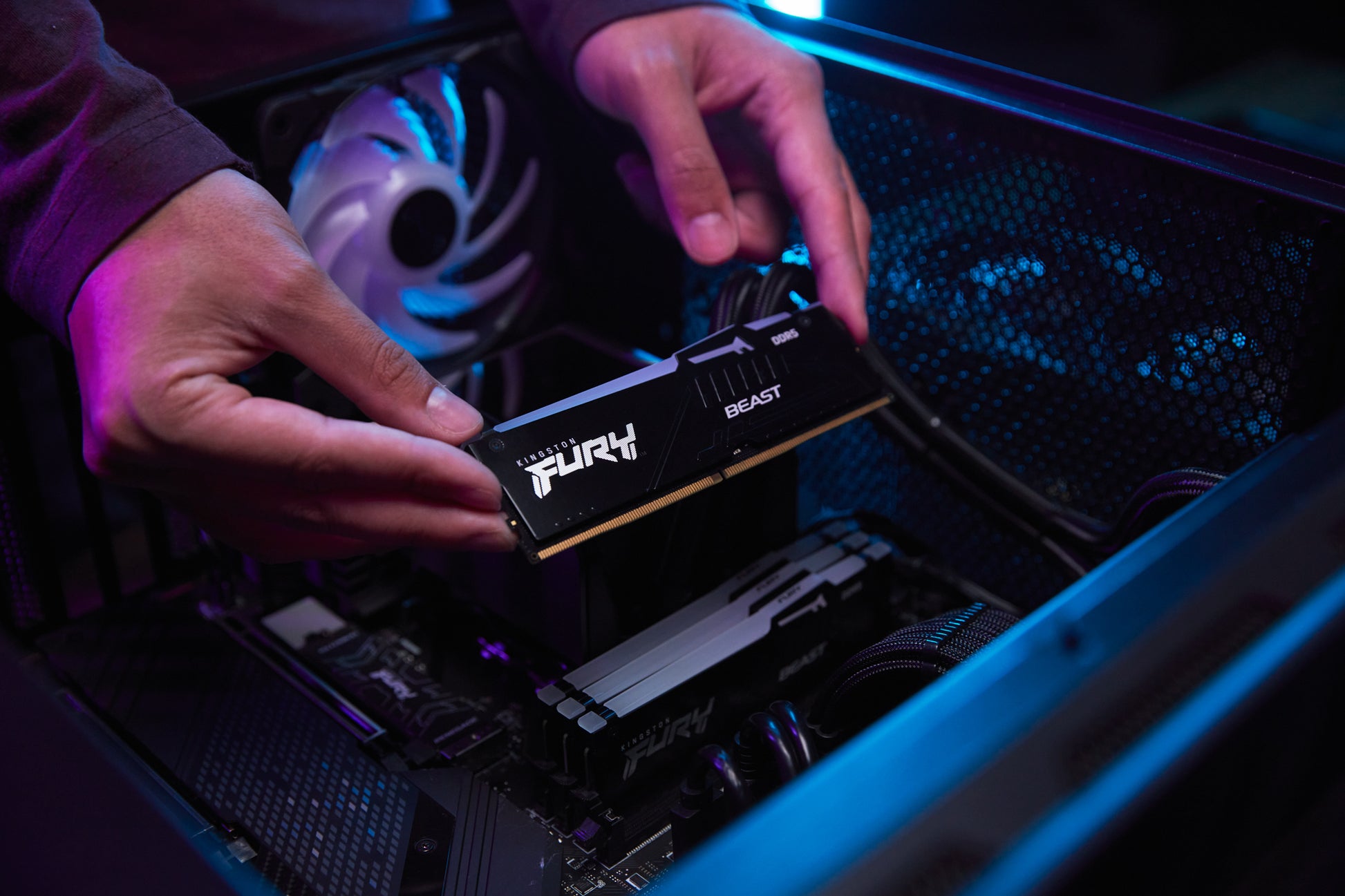 Kingston Technology Kingston FURY Beast – Arbeitsspeicher – 16 GB DDR5 5600 MT/s CL40, 288‑Pin DIMM, RGB