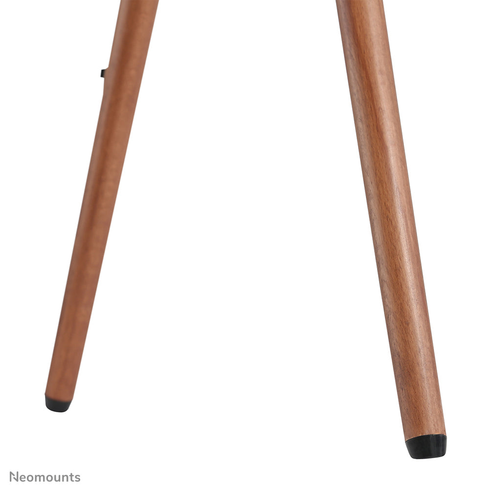 Neomounts Höhenverstellbarer Displayständer für 37–70", VESA 200×200–600×400, bis 40 kg, schwarz