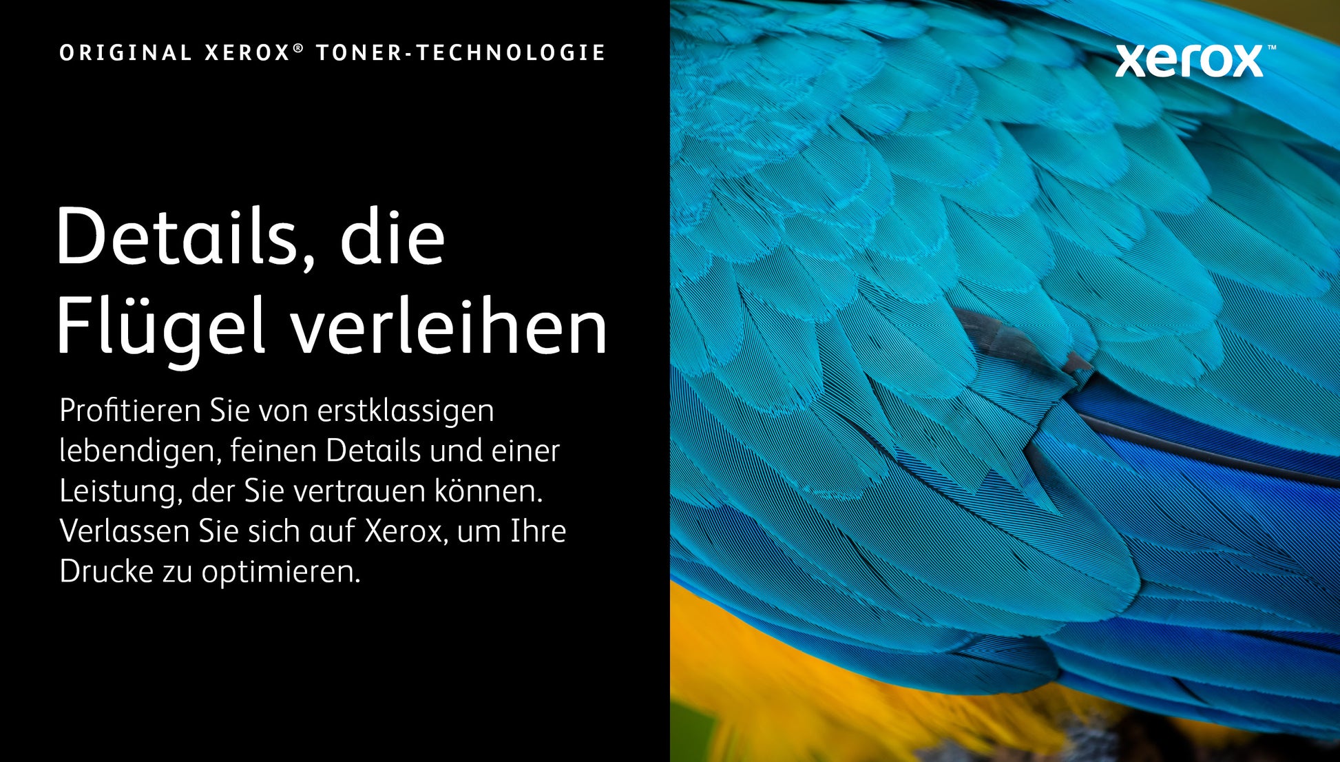 Xerox Toner 006R04619 – Gelb, 6000 Seiten – für VersaLink C625