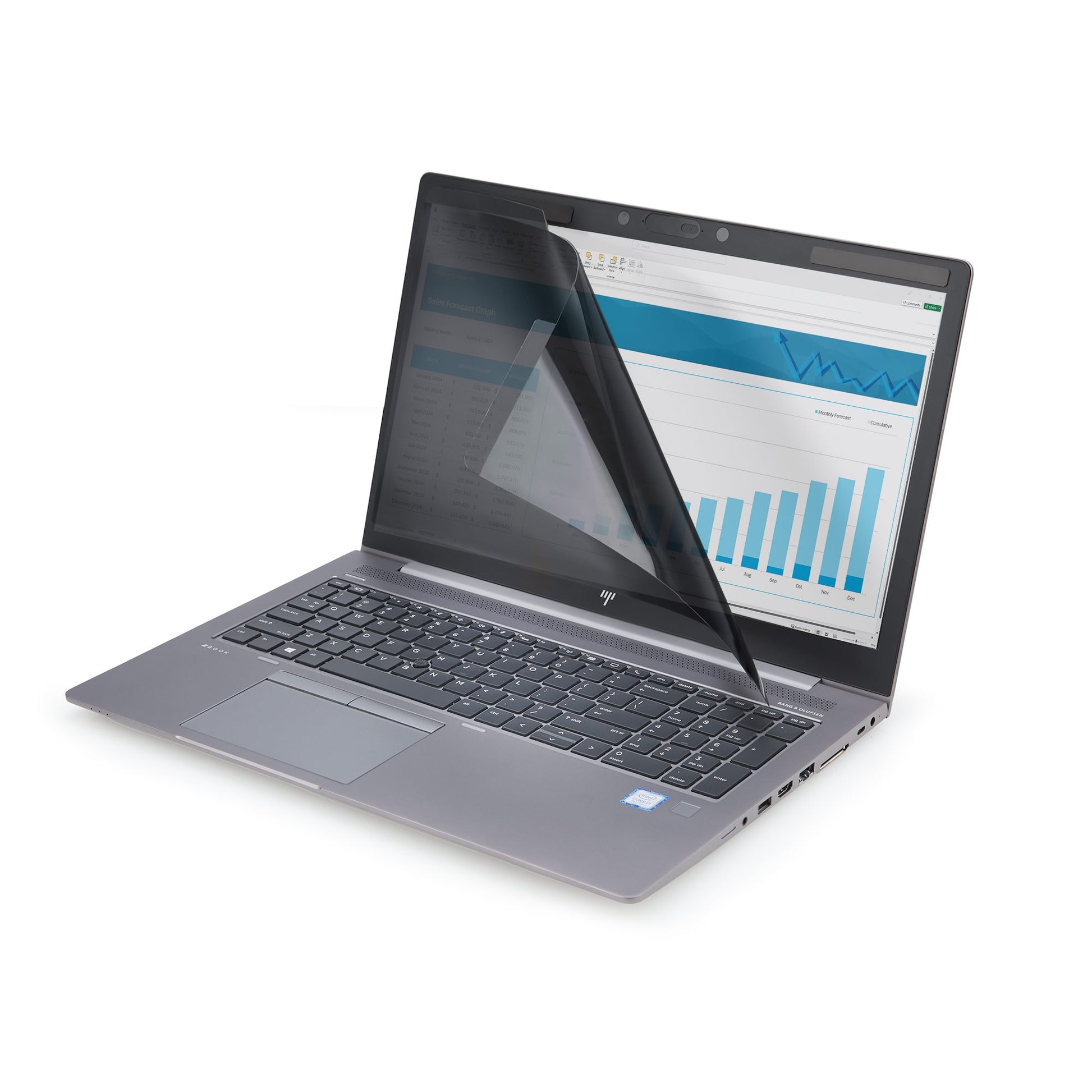 StarTech.com Displayschutz für 14" Laptop