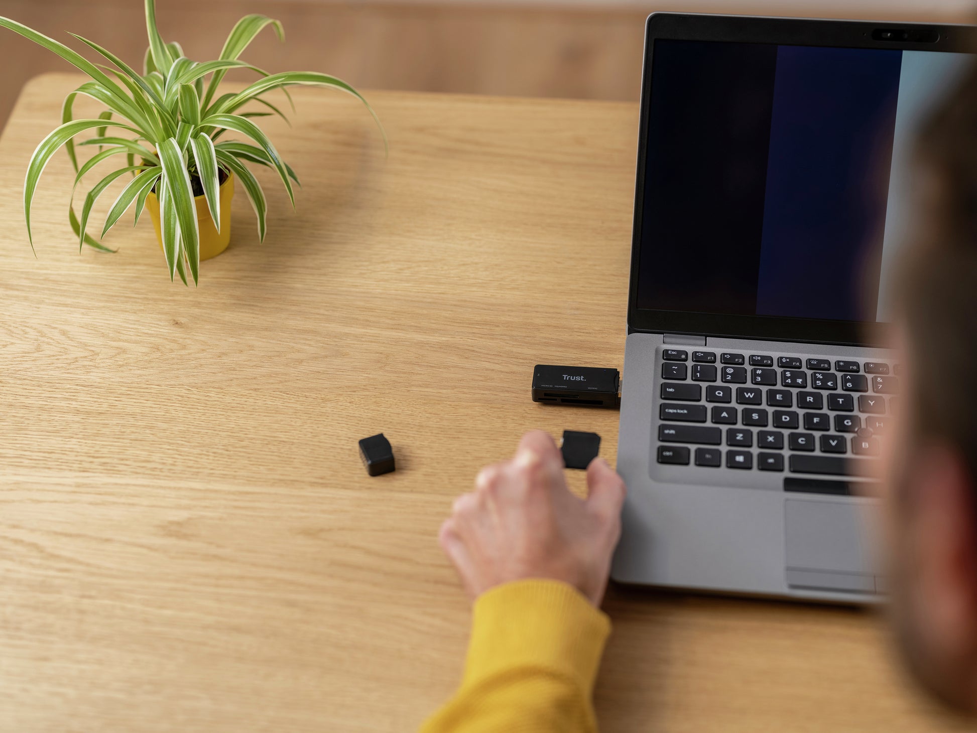 Trust Speichergerät – USB 3.2 Gen 1 Typ-A, Plug & Play, für microSD, SD, MS Micro (M2)