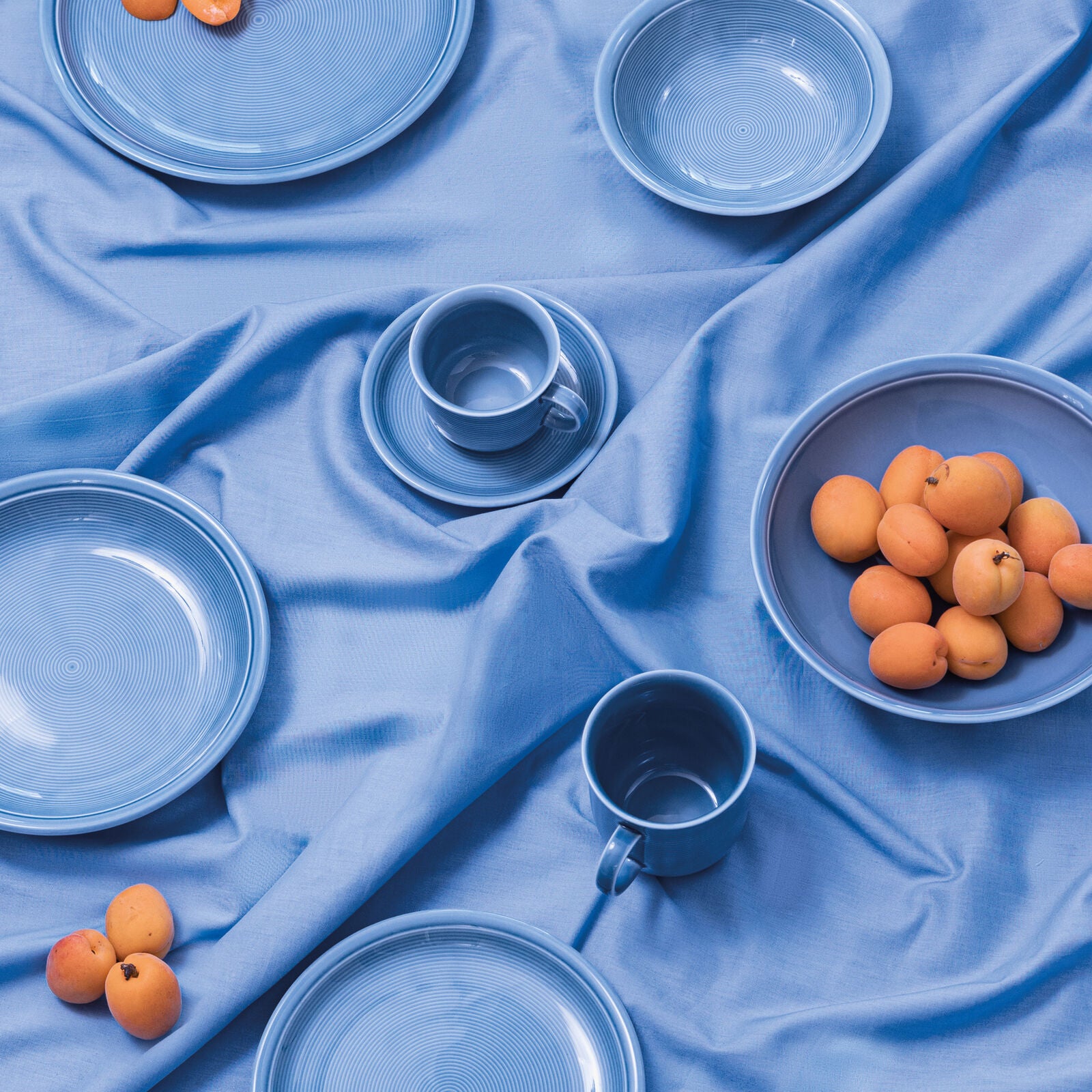 Thomas Speiseteller Trend Arctic Blue – Ø 25,5 cm, Porzellan, Blau, mikrowellengeeignet, spülmaschinenfest